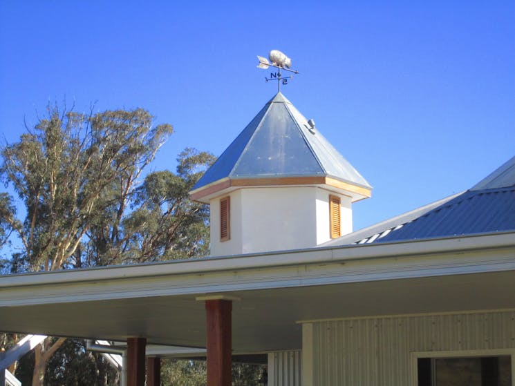 Wombat Wind Vane