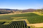 views vineyard