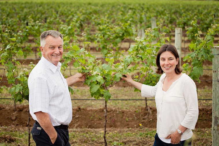 Bowen Estate Three Decades of Wine