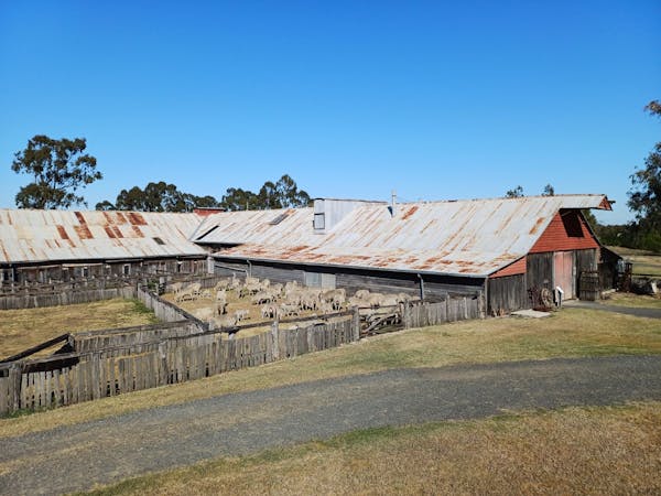 Jondaryan Woolshed