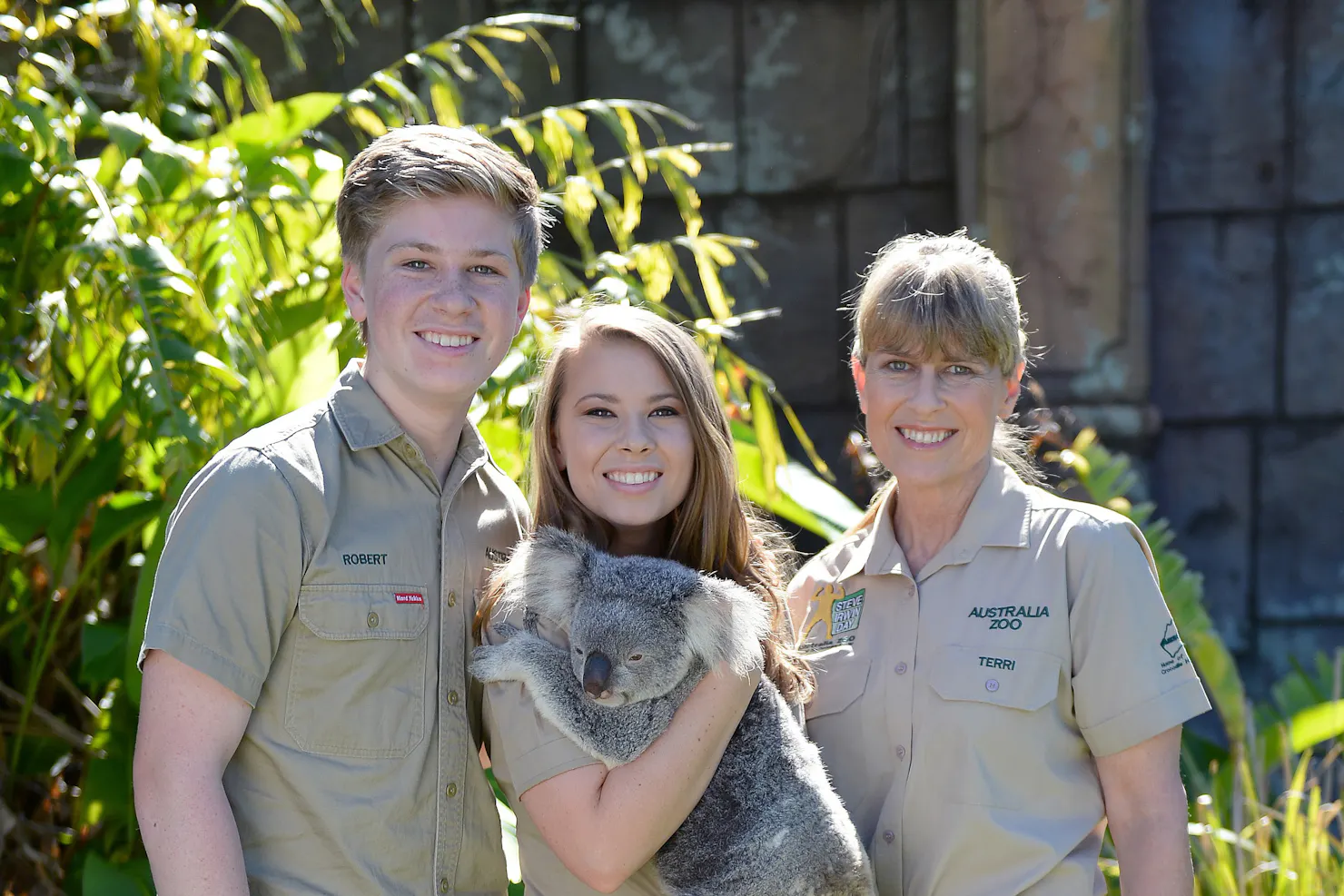 Cuddle a Koala