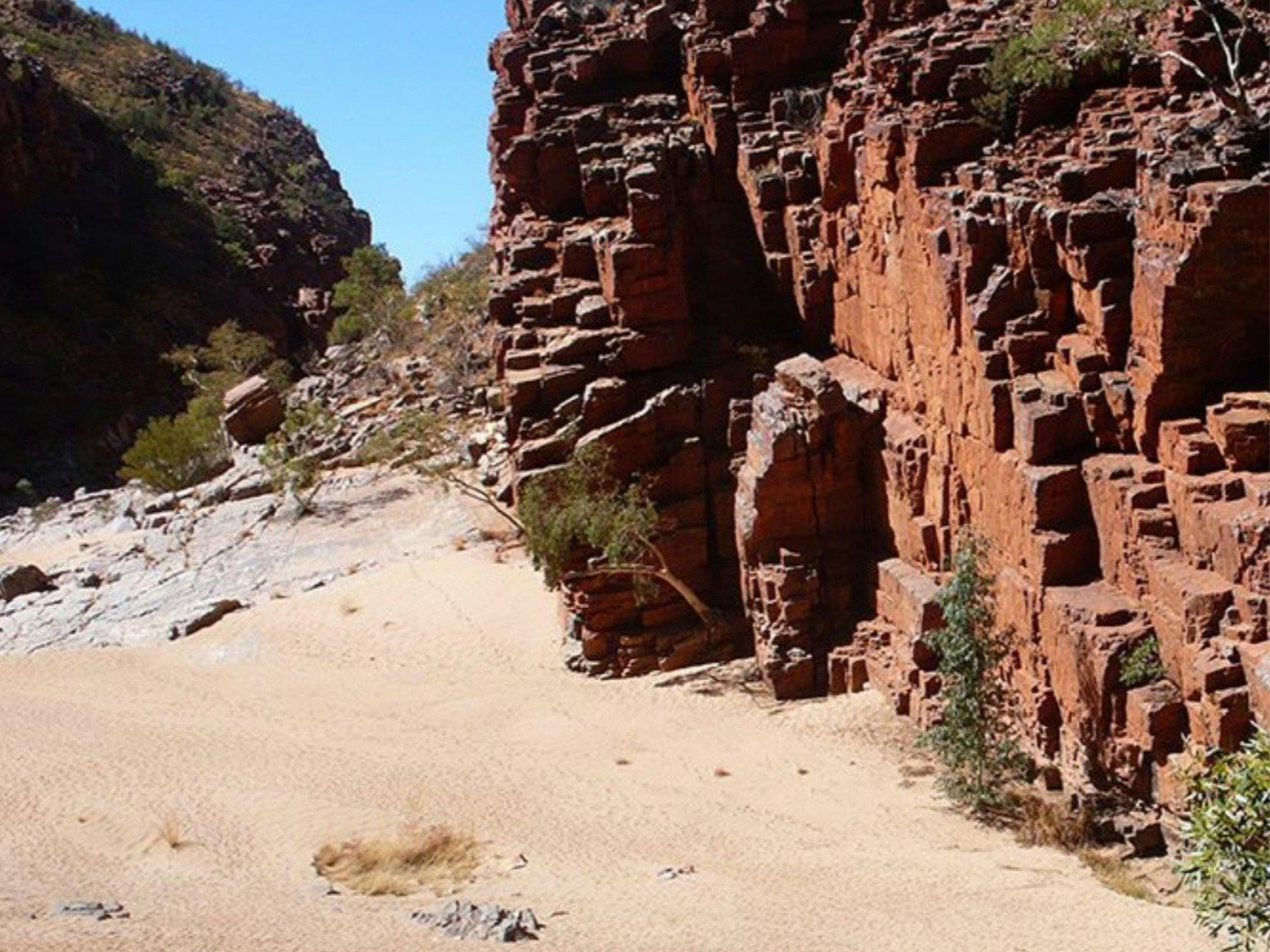 Larapinta Trail - 7 Day - Group-Guided