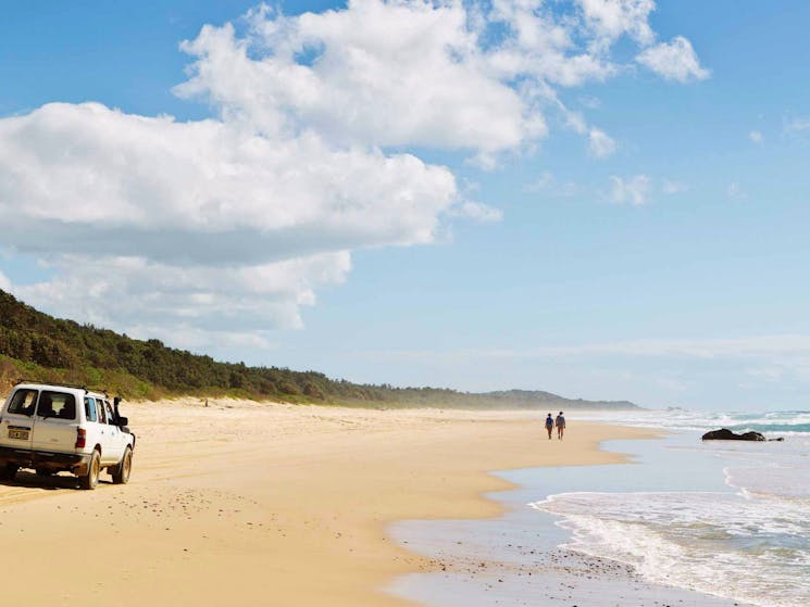 4WD vehicle on the beach, Bongil Bongil National Park. Photo: Rob Cleary