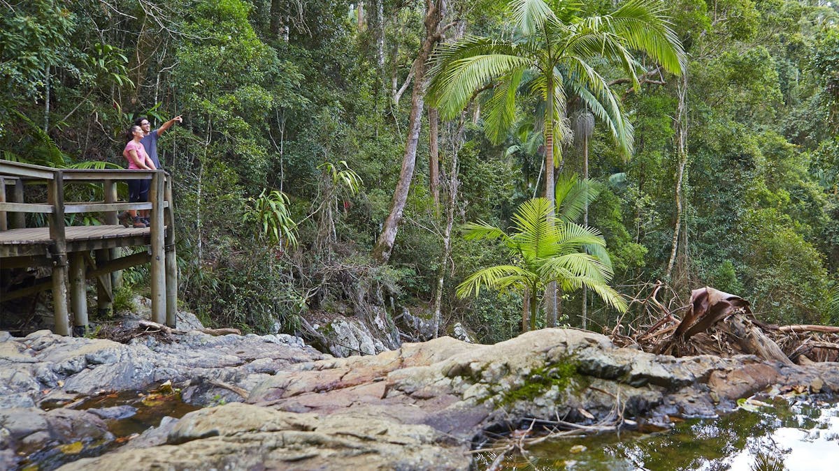 Two people standing at lookout looking over a creek and rainforest.