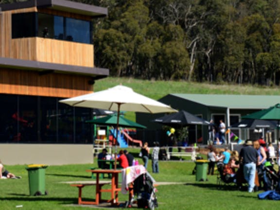 Healesville Greyhound Association