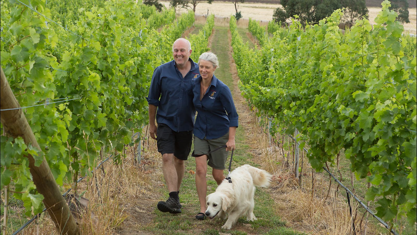 Wobbly Boot Vineyard  - Wine and Vineyard Experiences