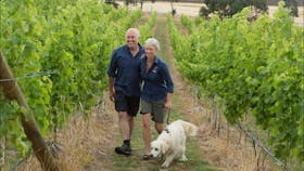 Personalised tours with owners