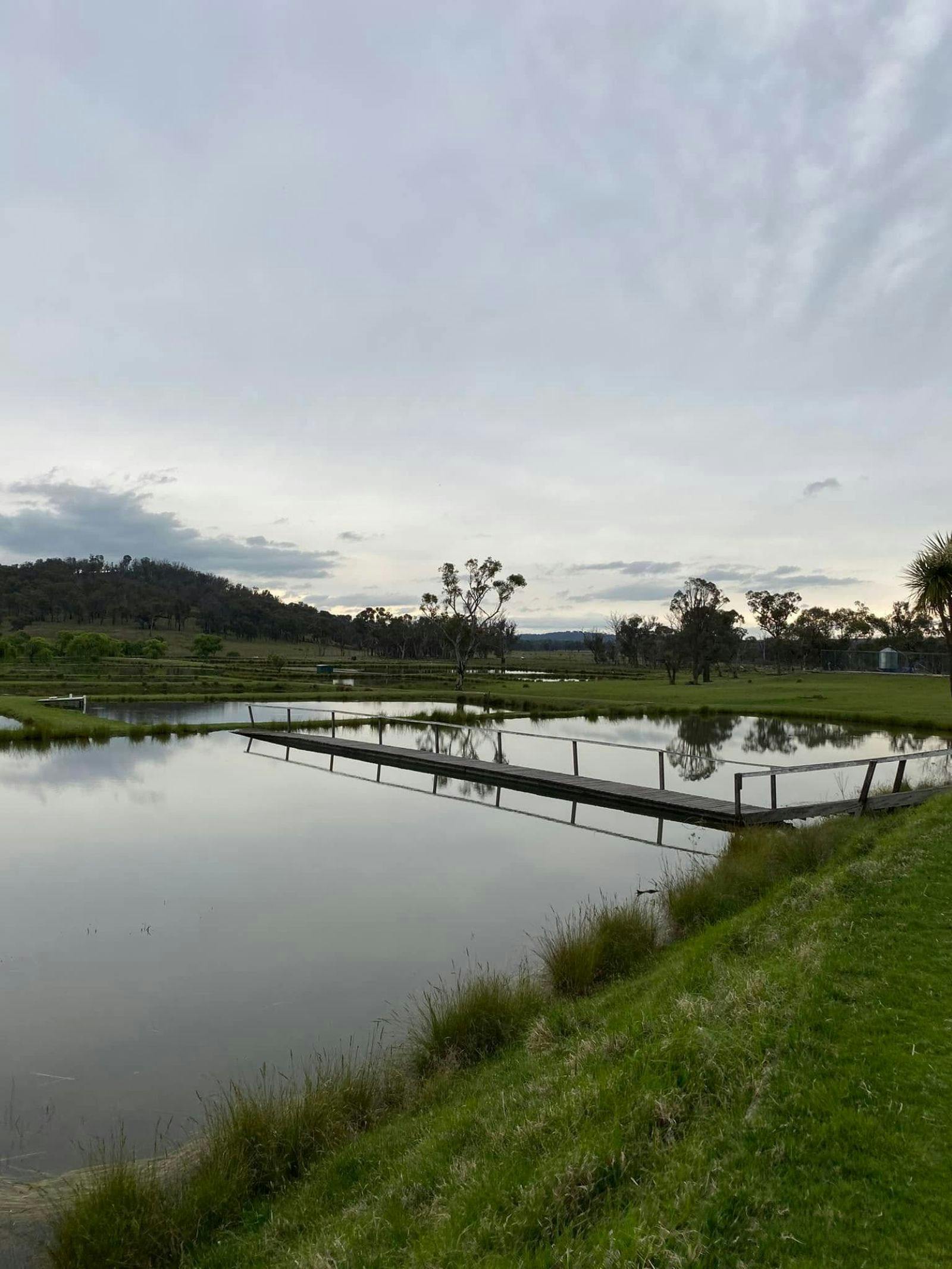 Moredun Ponds