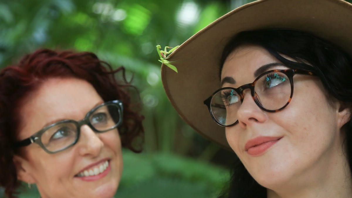 Tour guides with a friendly Praying Mantis encounter