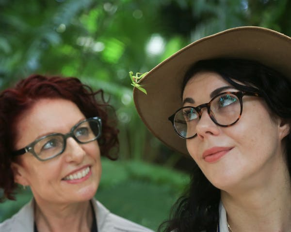 Tour guides with a friendly Praying Mantis encounter