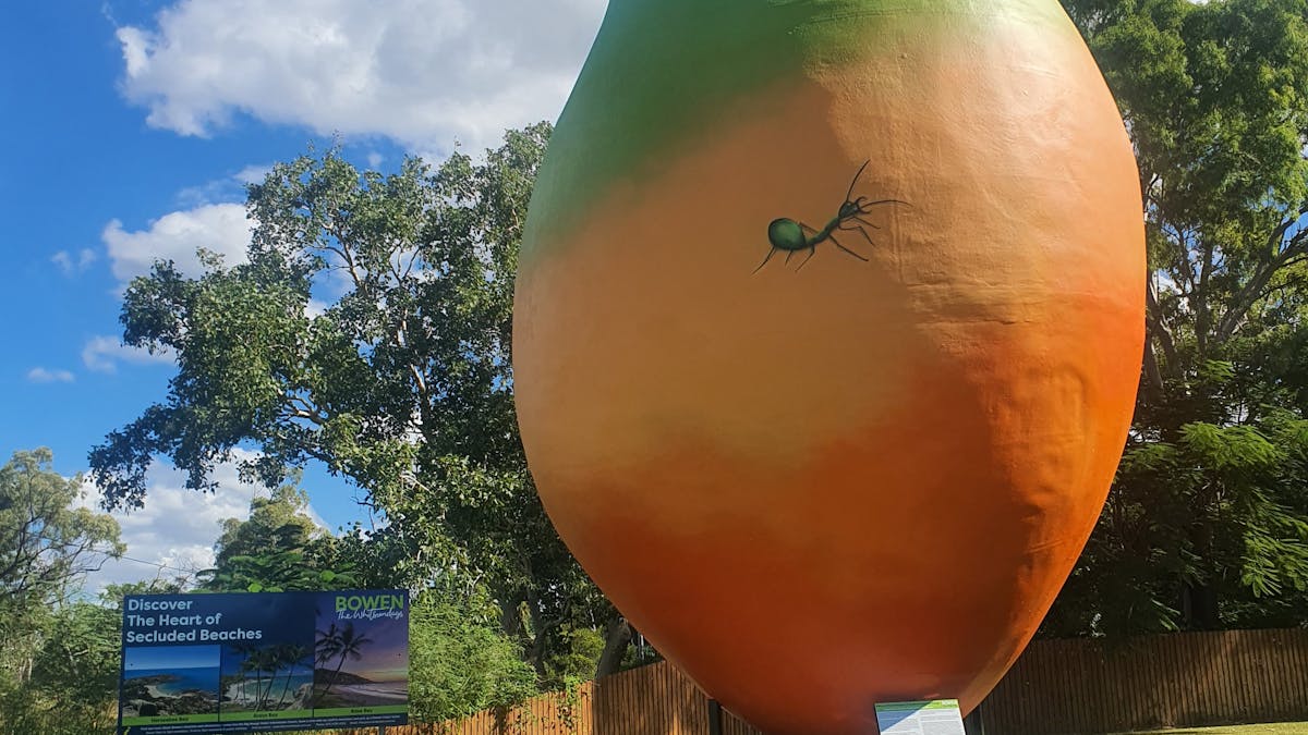 The Big Mango right next door to the visitor centre