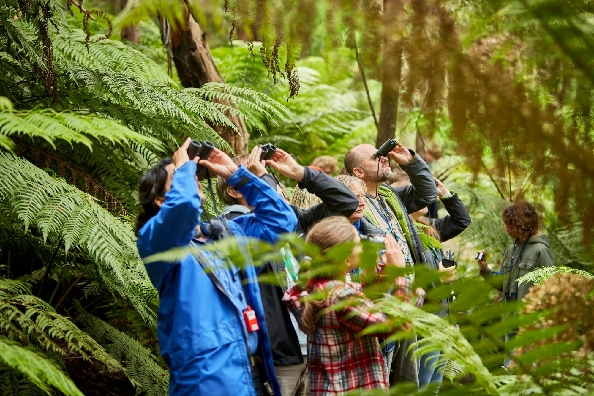 Group Tours with binoculars and headpiece to hear commentary from the conservationist guide