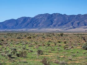 Views of the Elder Range