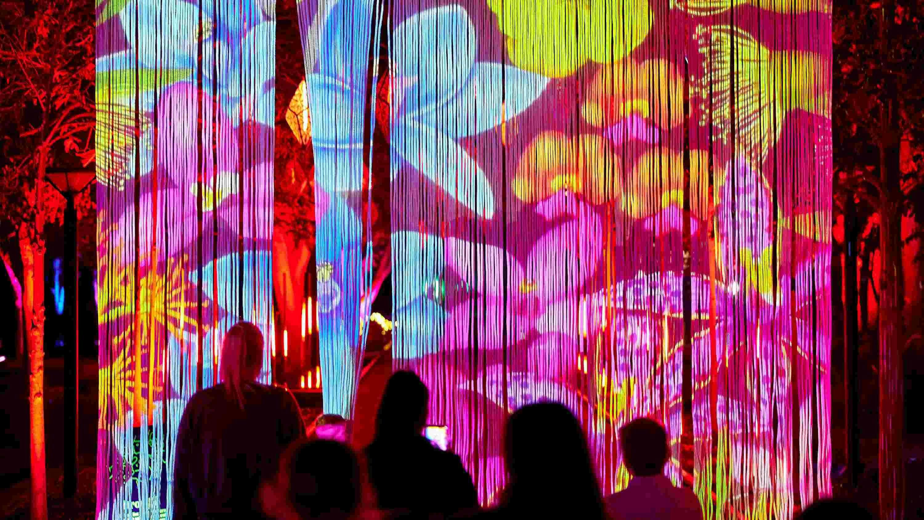 colour flower screen with people watching