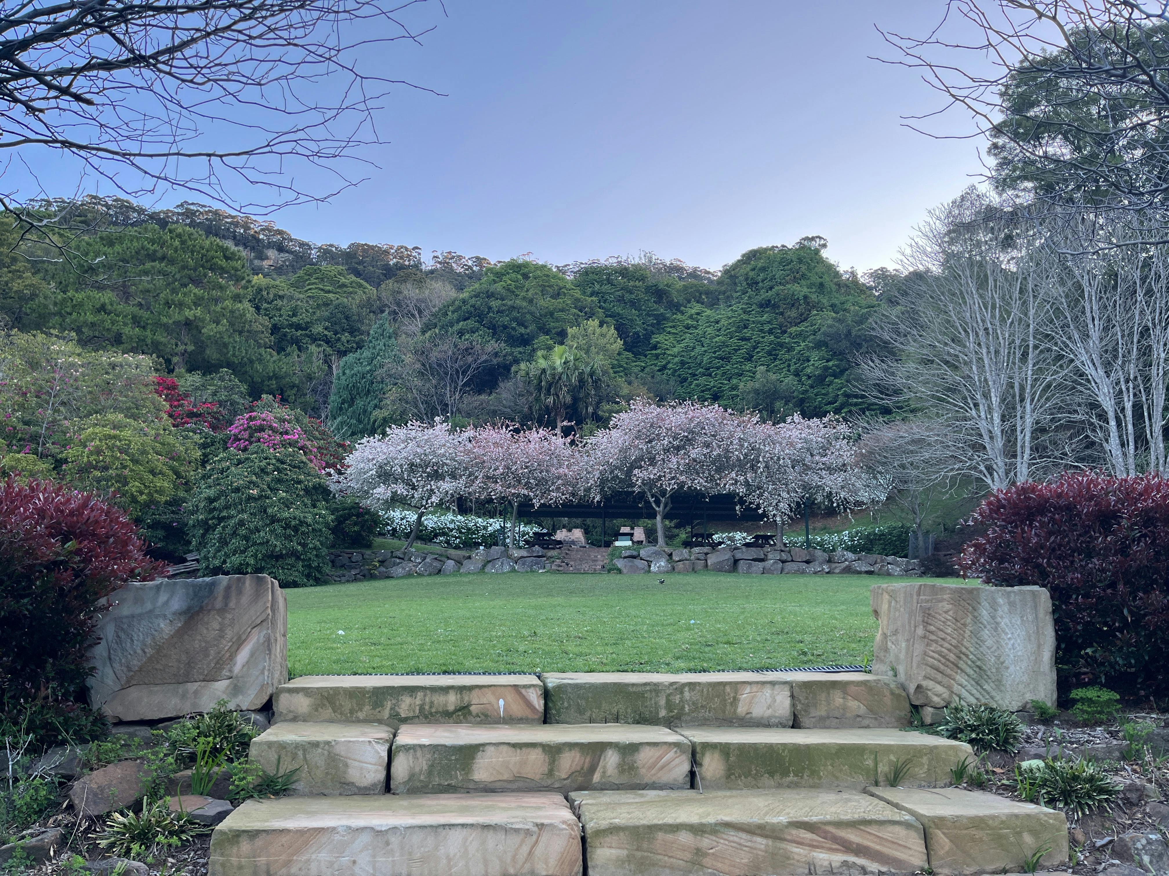 Plenty of spaces for picnics both on lawns and undercover. Crabapples in full bloom