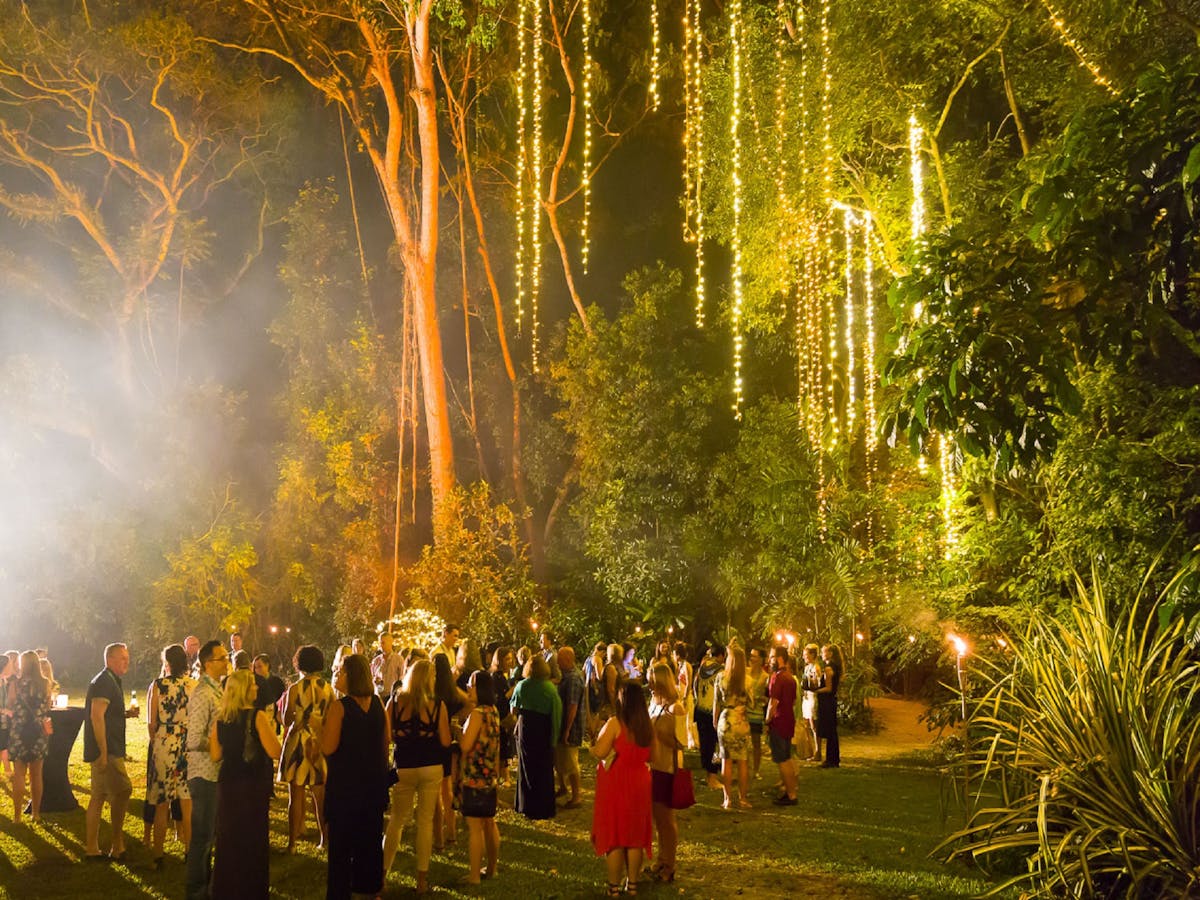 Dining under the rainforest