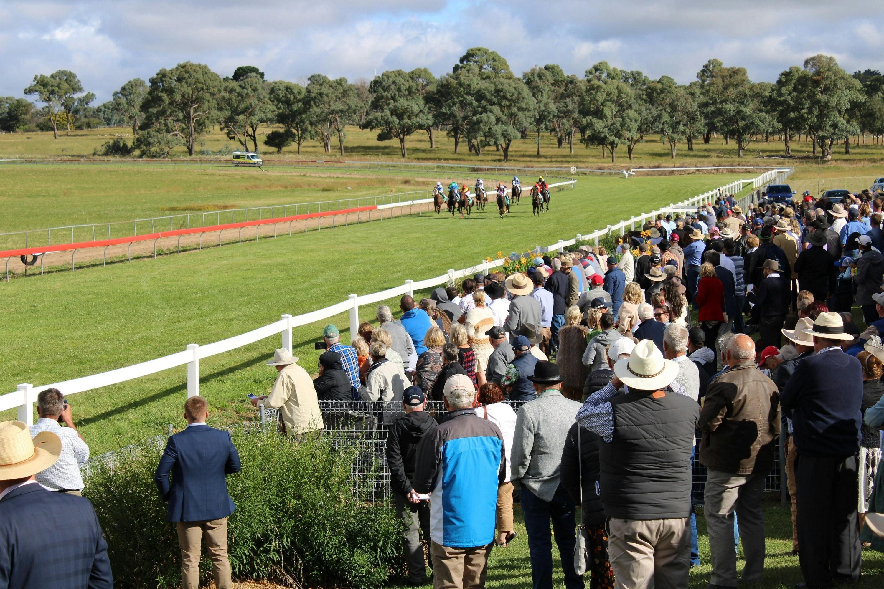 Walcha Cup and Races