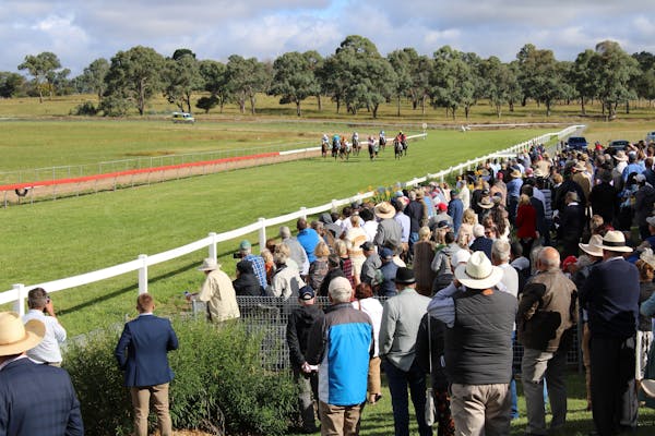 Walcha Cup and Races