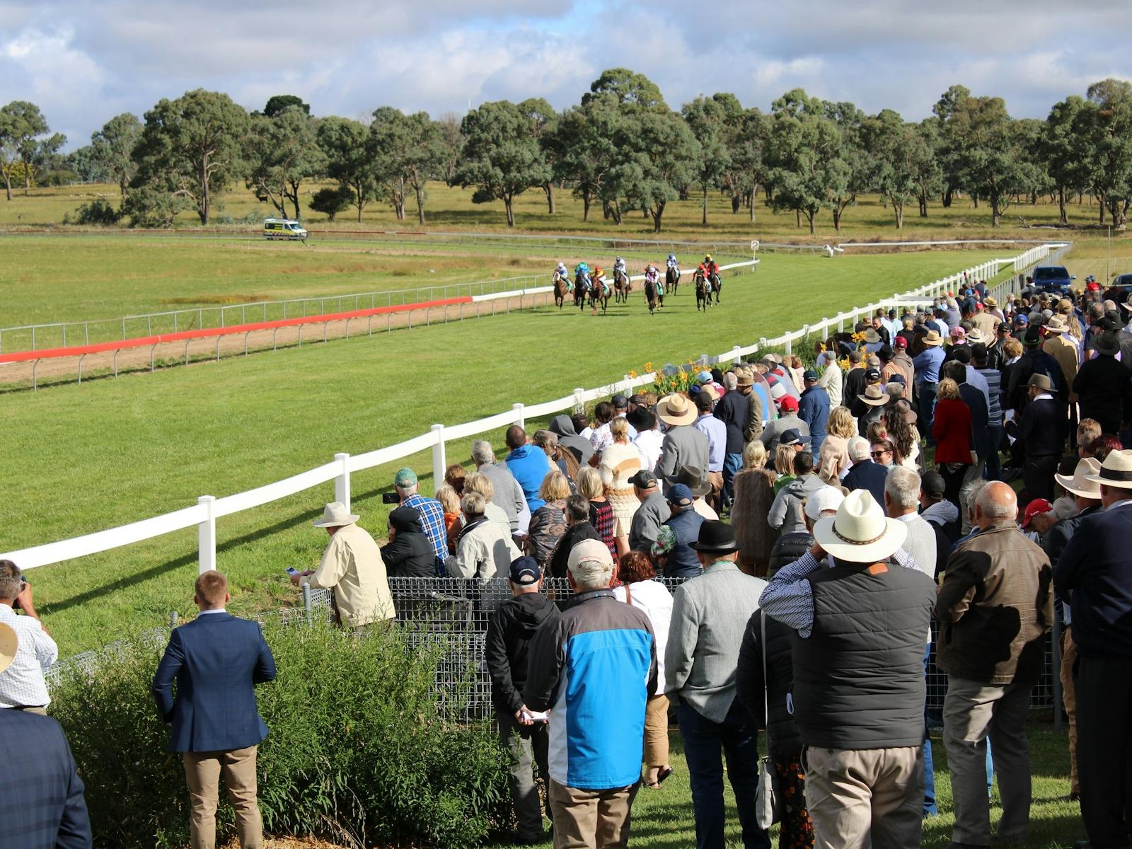 Image for Walcha Cup and Races