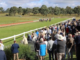 Walcha Cup and Races Cover Image