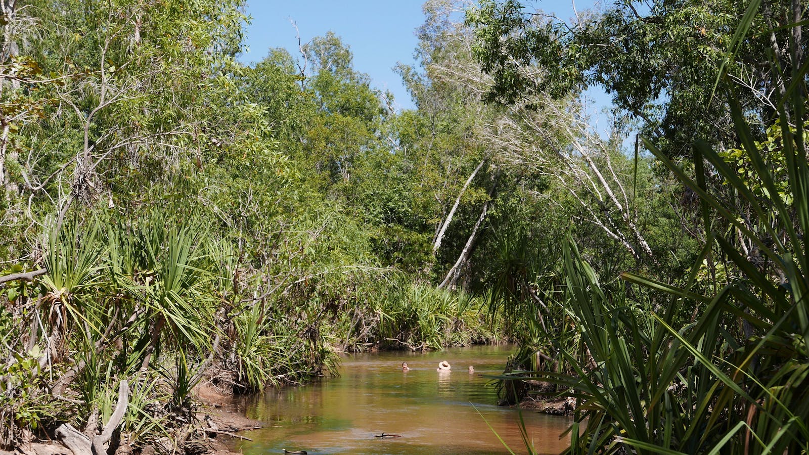 Tjuwaliyn (Douglas) Hot Springs Park