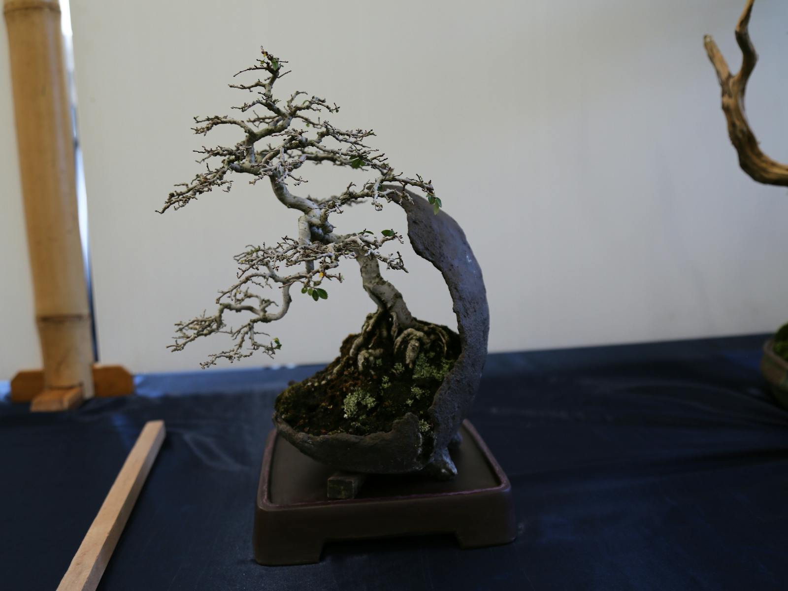 Crescent Pot