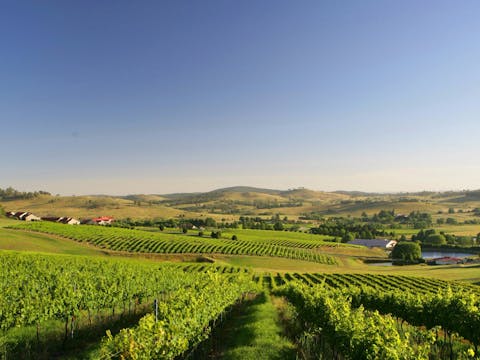 Turners Vineyard Motel