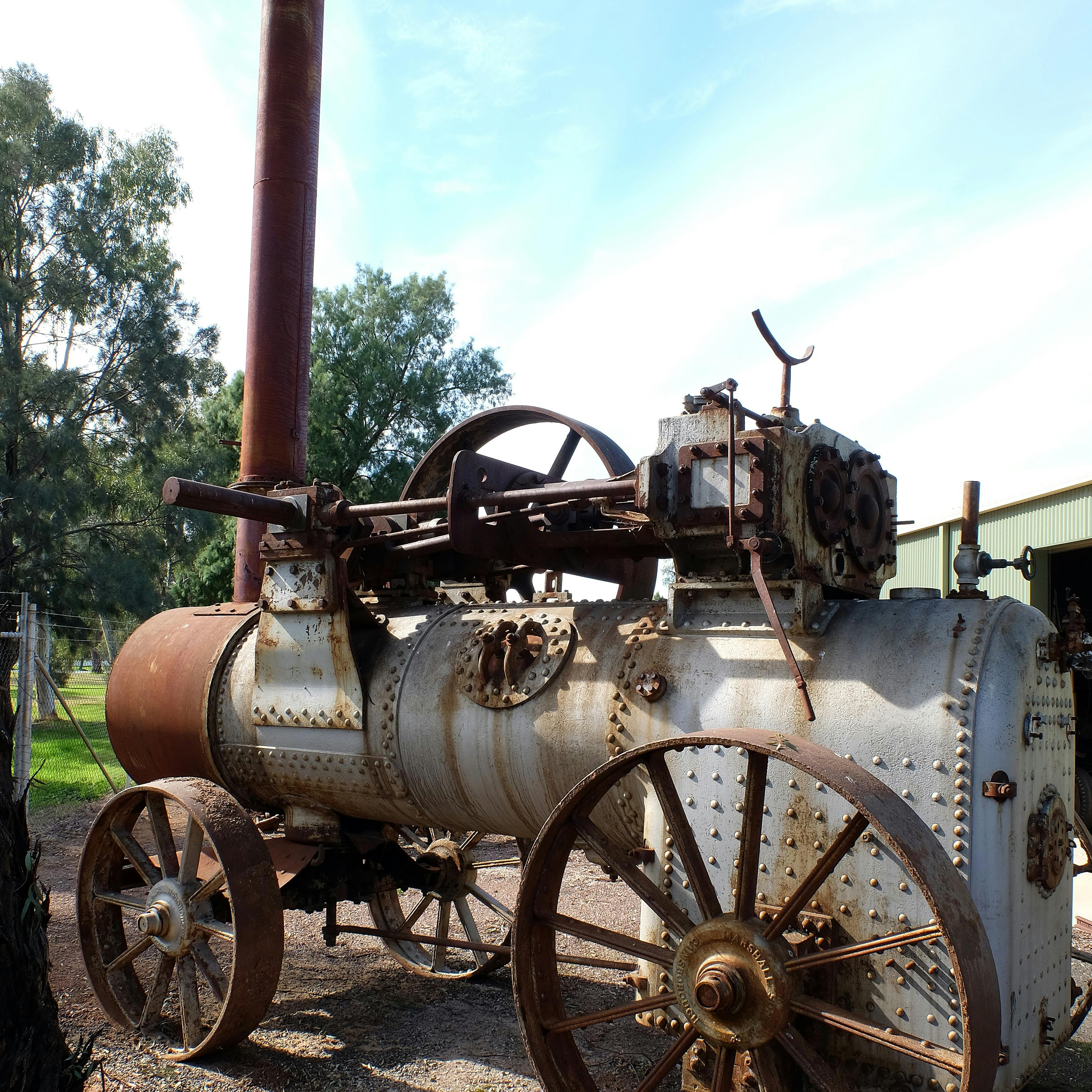 A steam engine from the side with blue sky  and gum trees