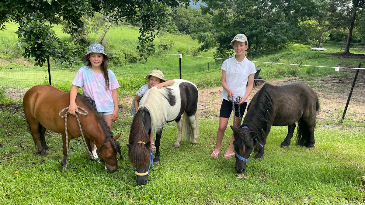 Brumbies Hollow