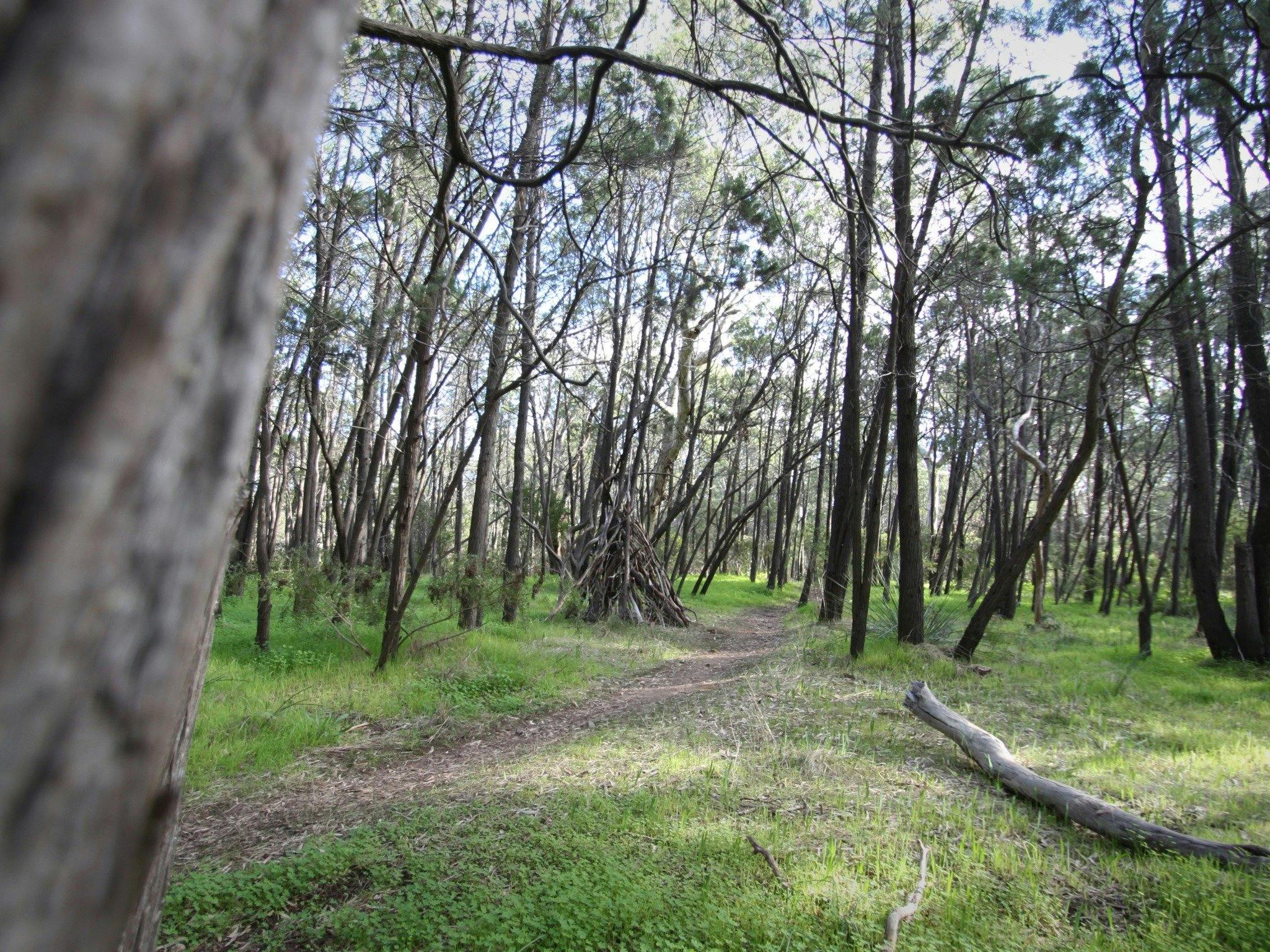 Ferguson Conservation Park