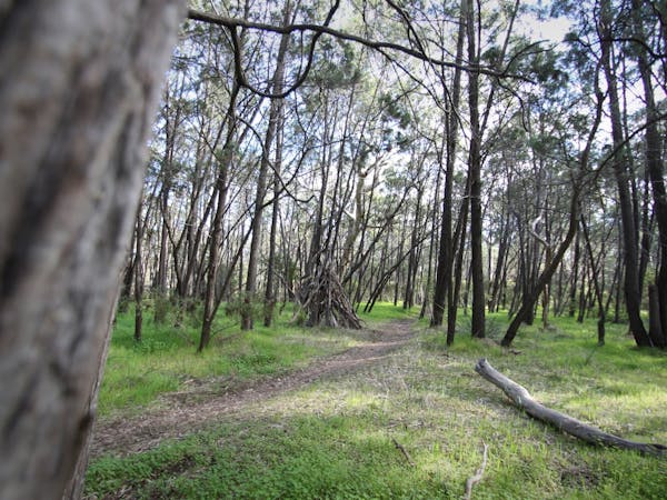Ferguson Conservation Park