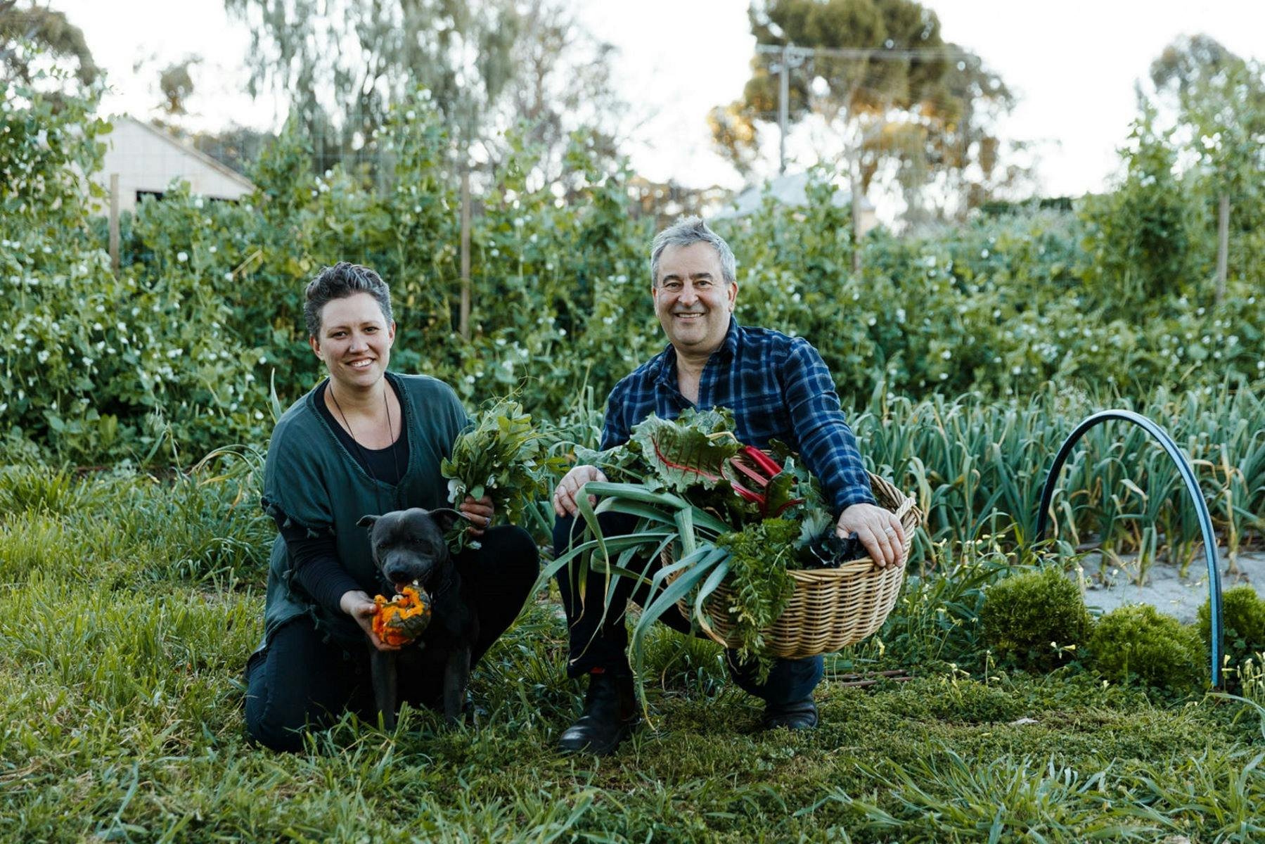 Watervale Hotel Experiences