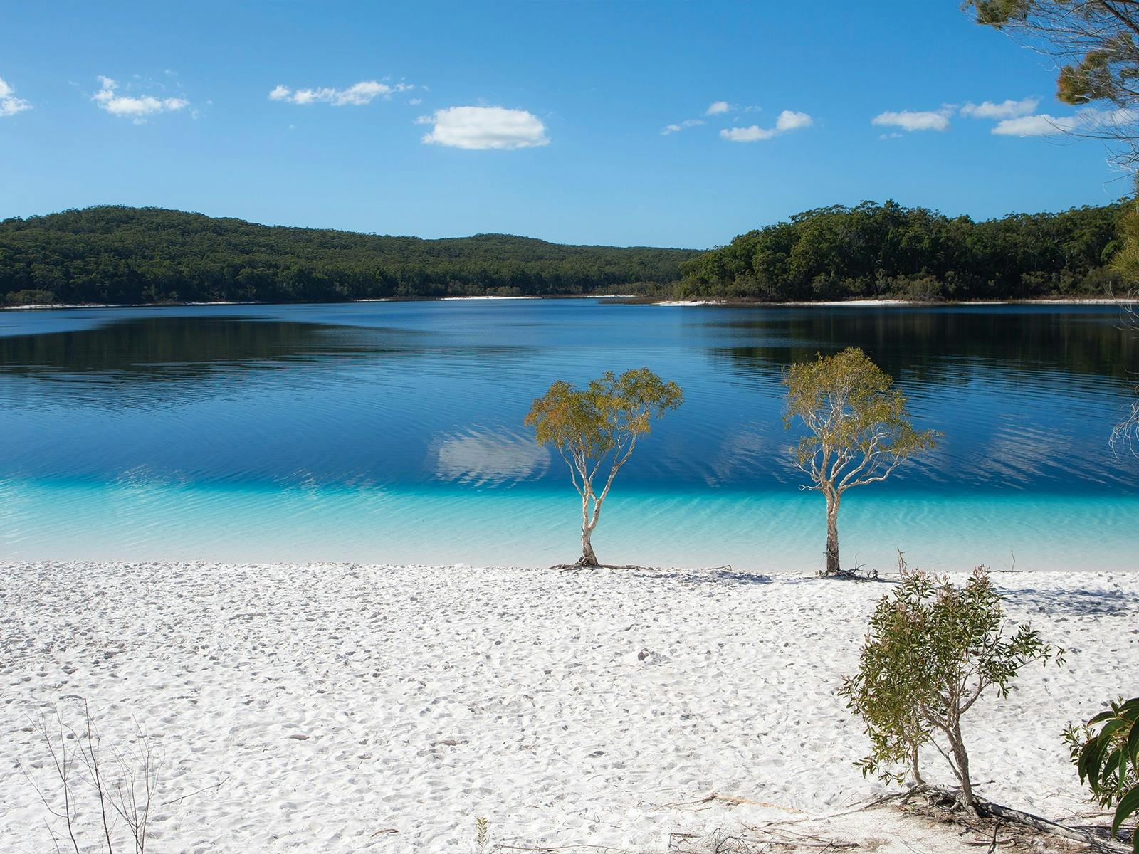 K'gari Explorer Tours, K'gari (Fraser Island)