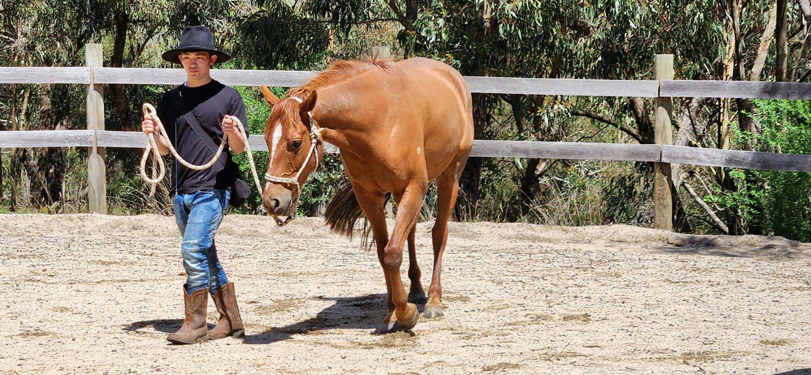 Unleashing the inner cowboy