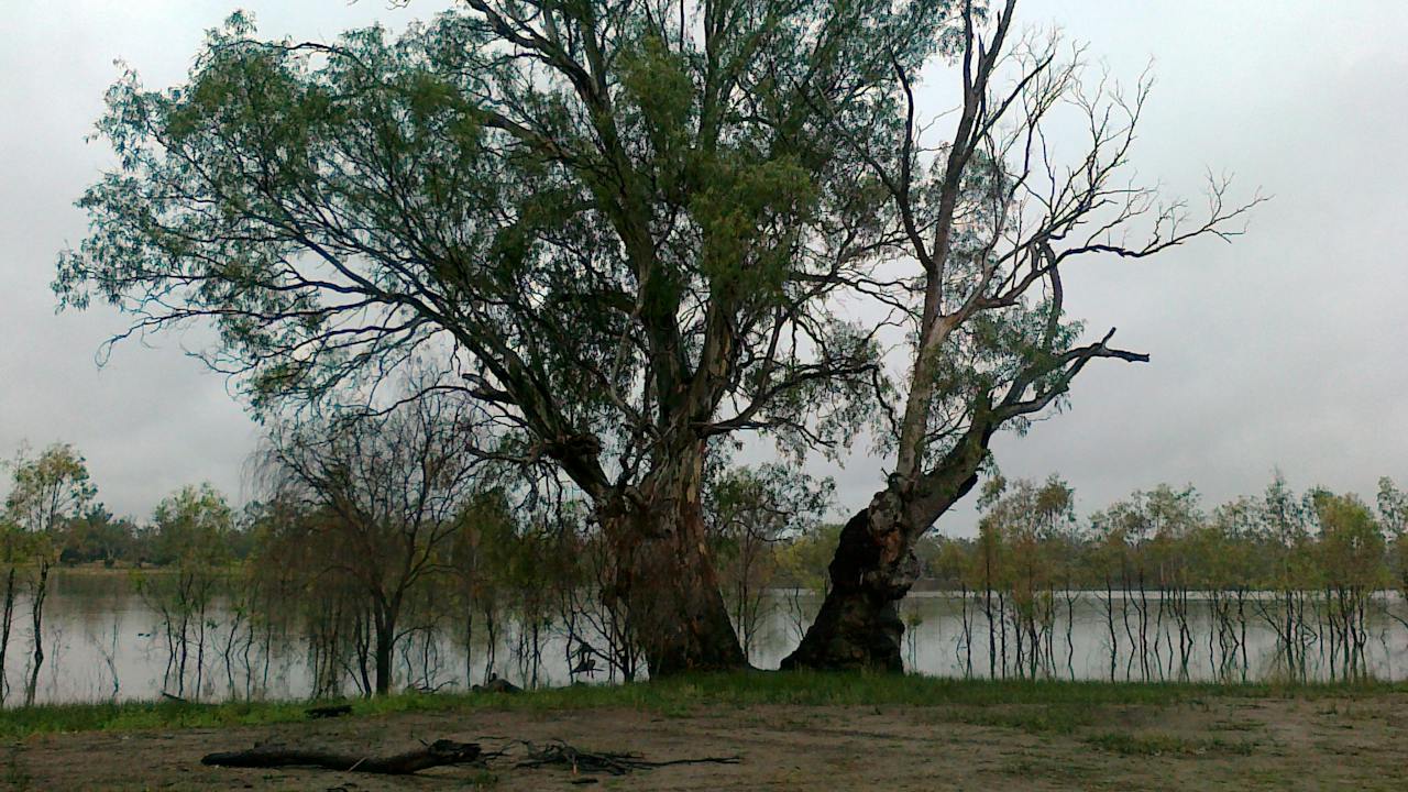 Morgan Conservation Park