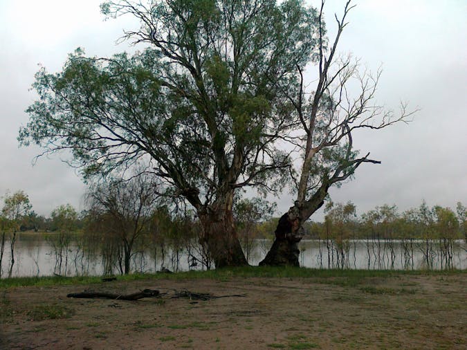 Morgan Conservation Park