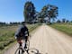 Cyclist in foreground on dull brown gravel road, grass, gum trees, blue sky