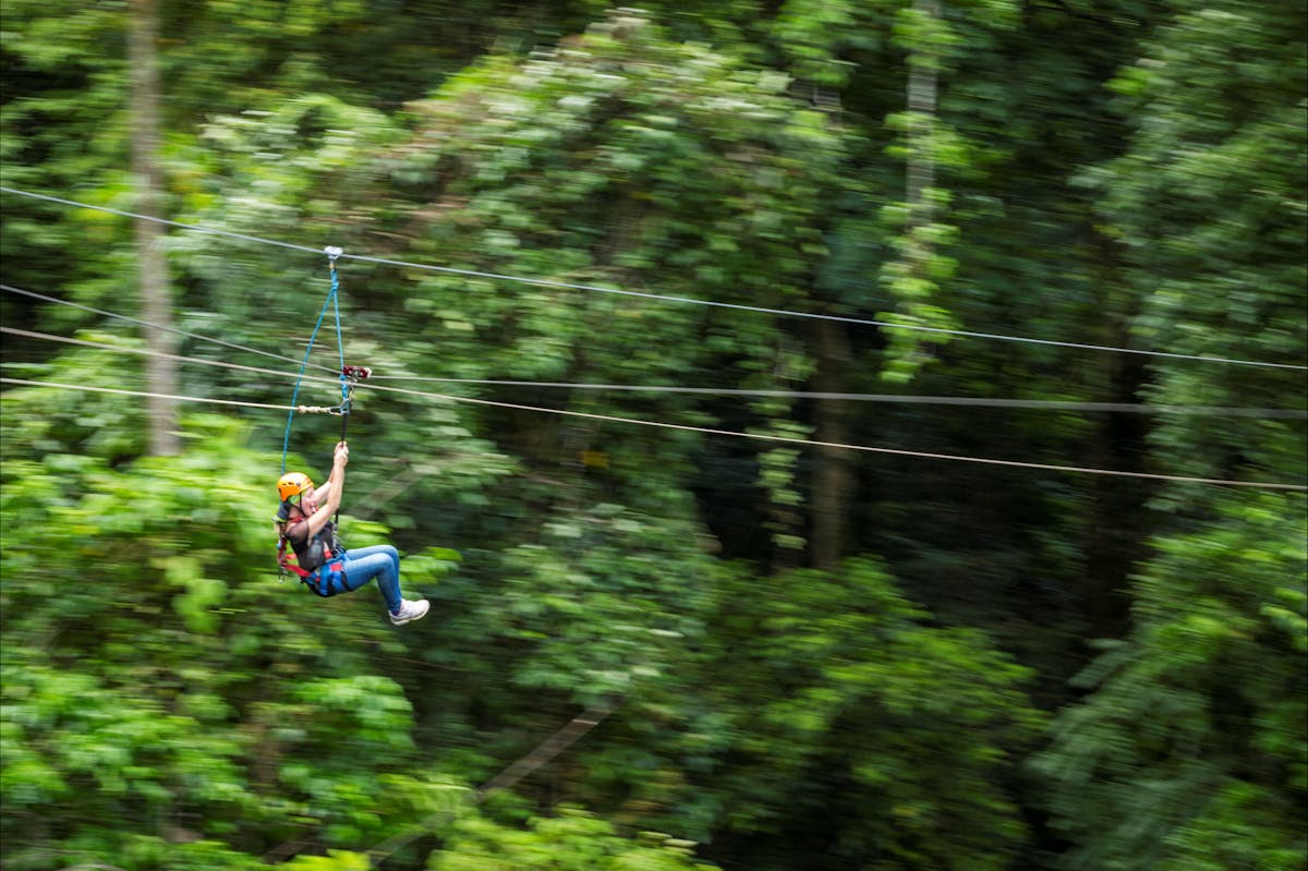 Ziplining the rainforest