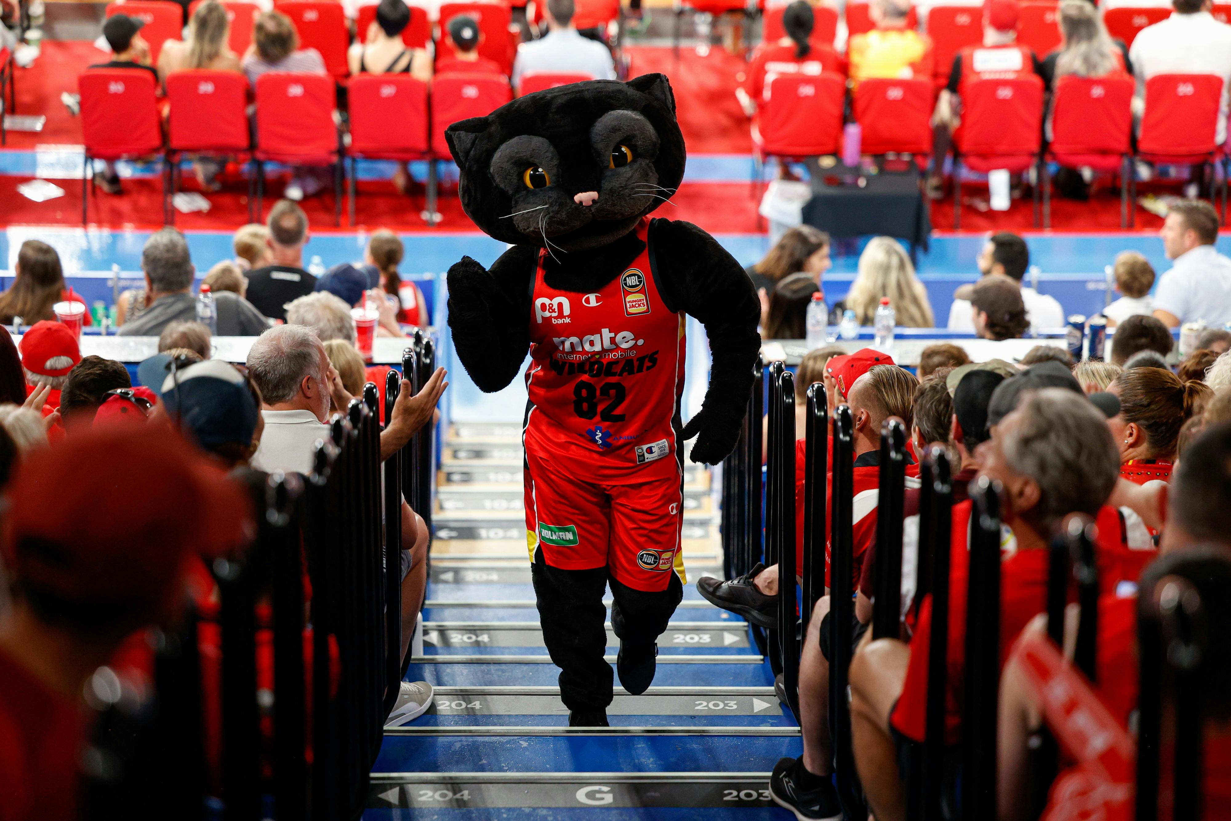 Wilbur the Wildcat in the crowd running up the stairs in the crowd at RAC Arena