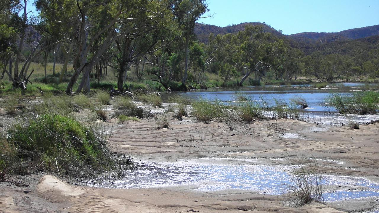 Finke River near the Finke River Trailhead along the Larapinta Trail