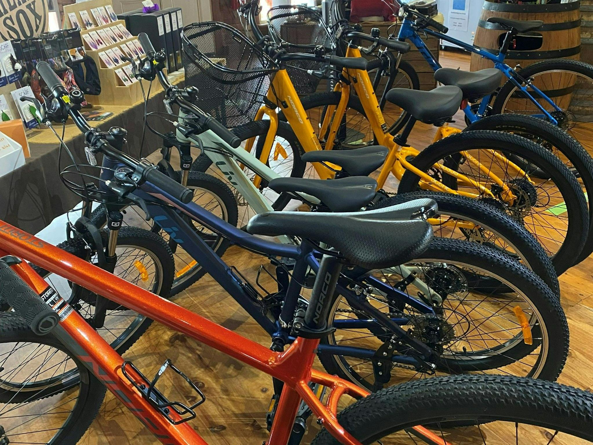A large range of bikes for hire in different sizes