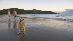 Cape Hillsborough National Park