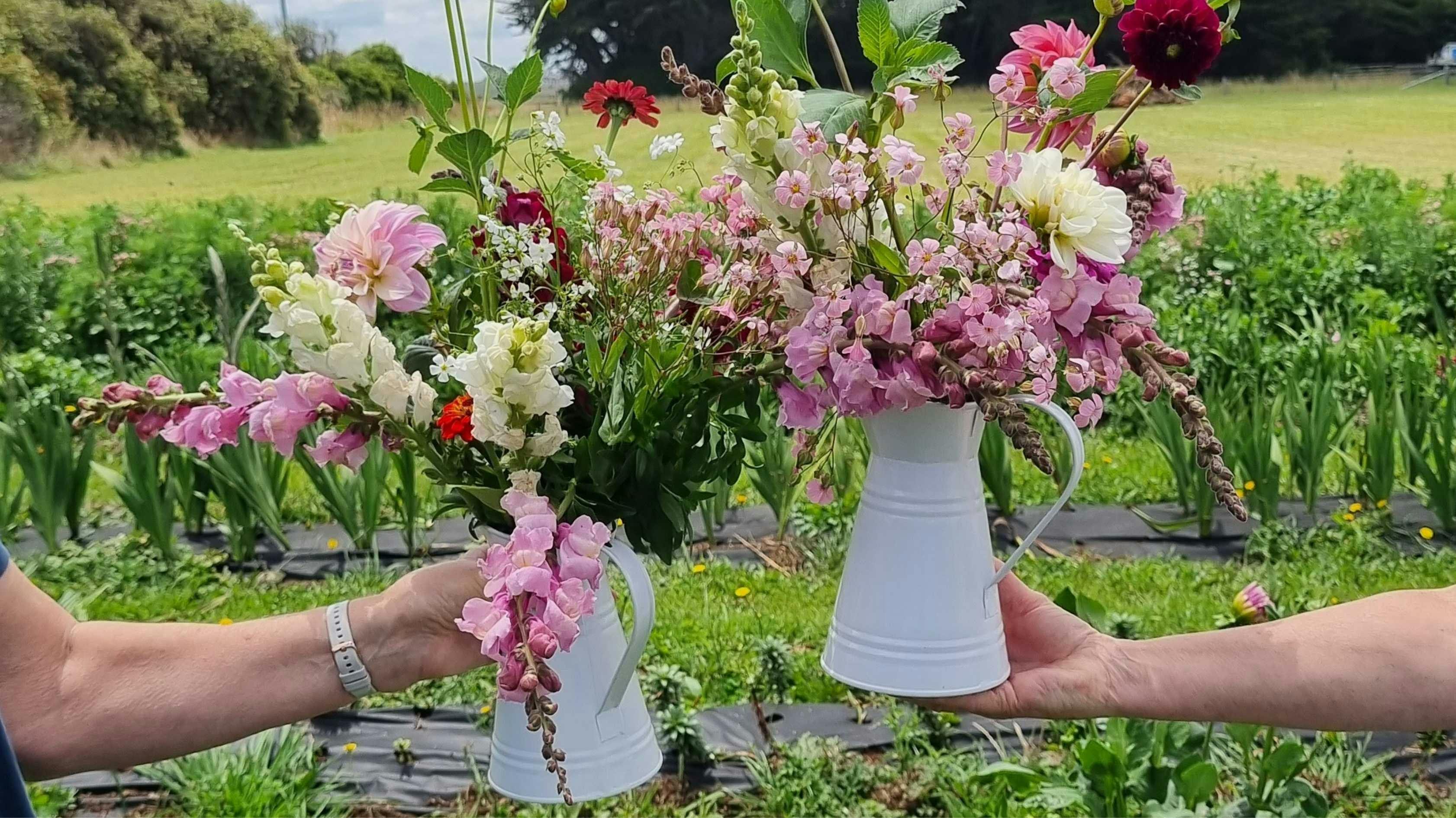 Pick your own flowers at Meadowbrooke