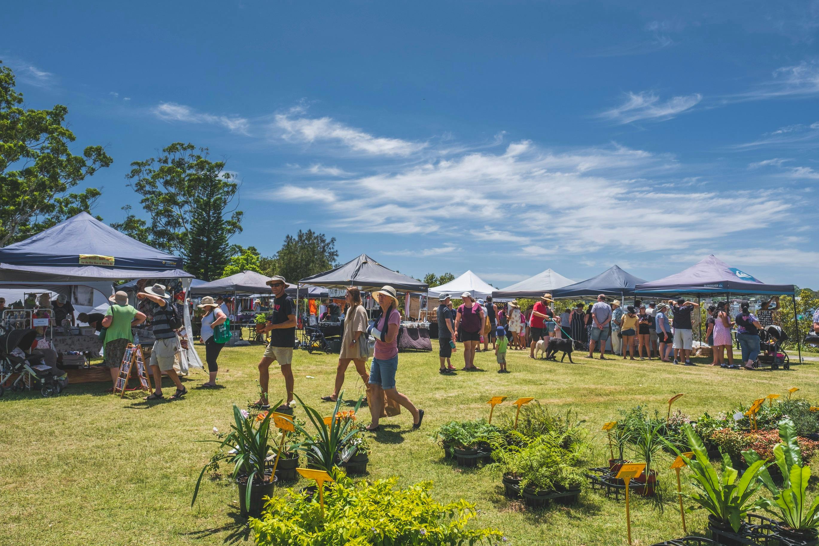 Laurieton Riverwalk Markets hero image