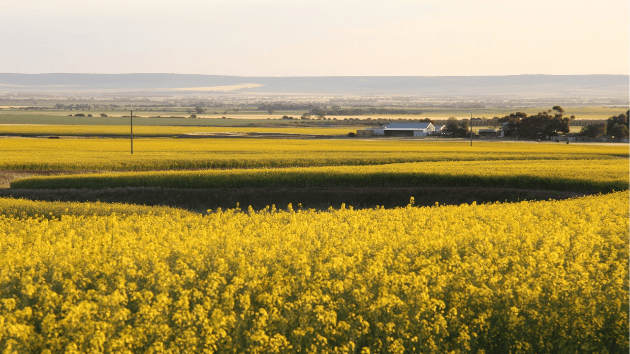 Looking SW from the top of the Lomandra Walk Trail, Blyth South Australia