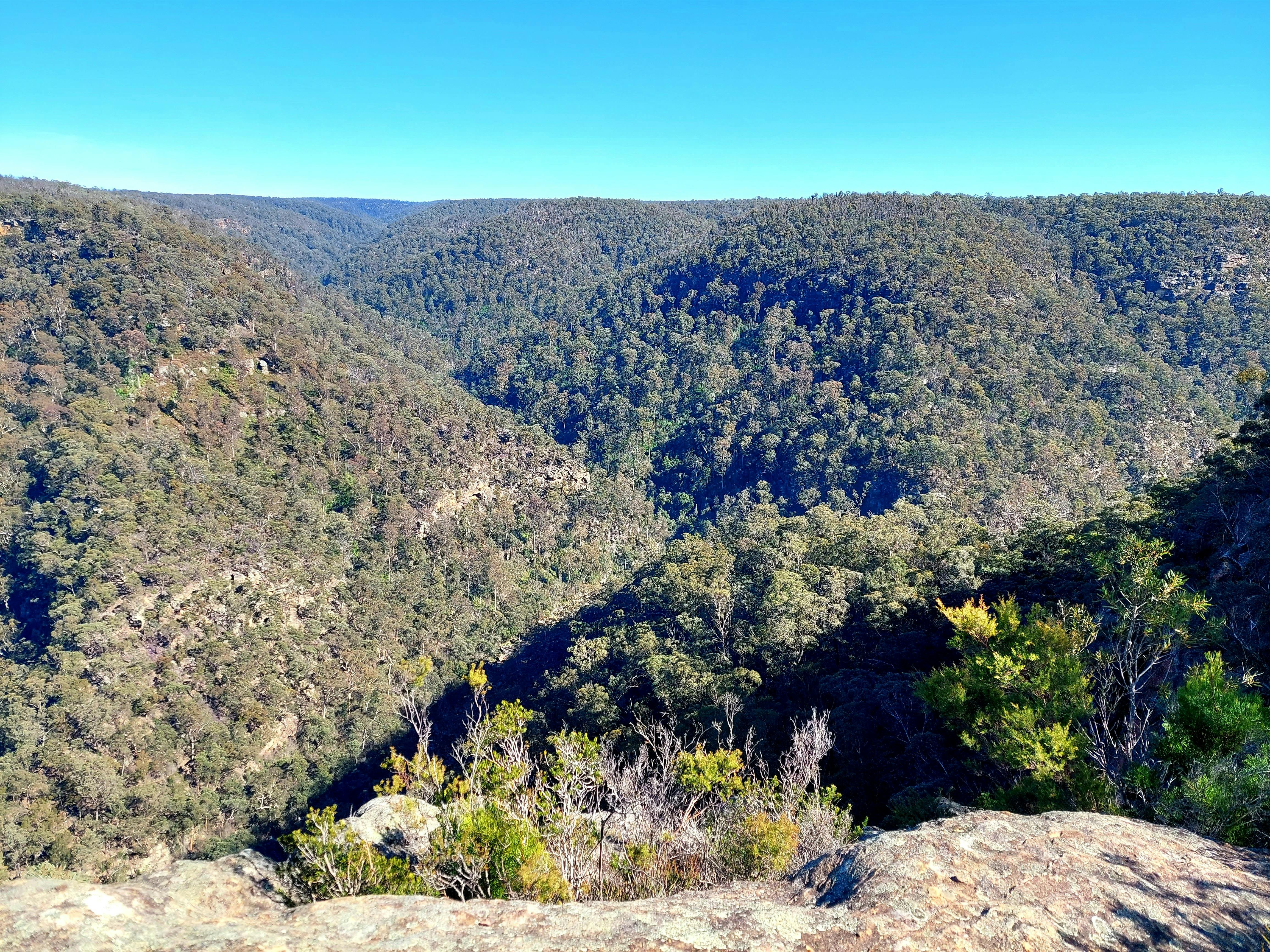 Buxton Ladies Waist Lookout
