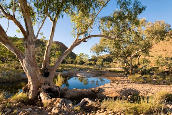 Larapinta End to End - 14 Days