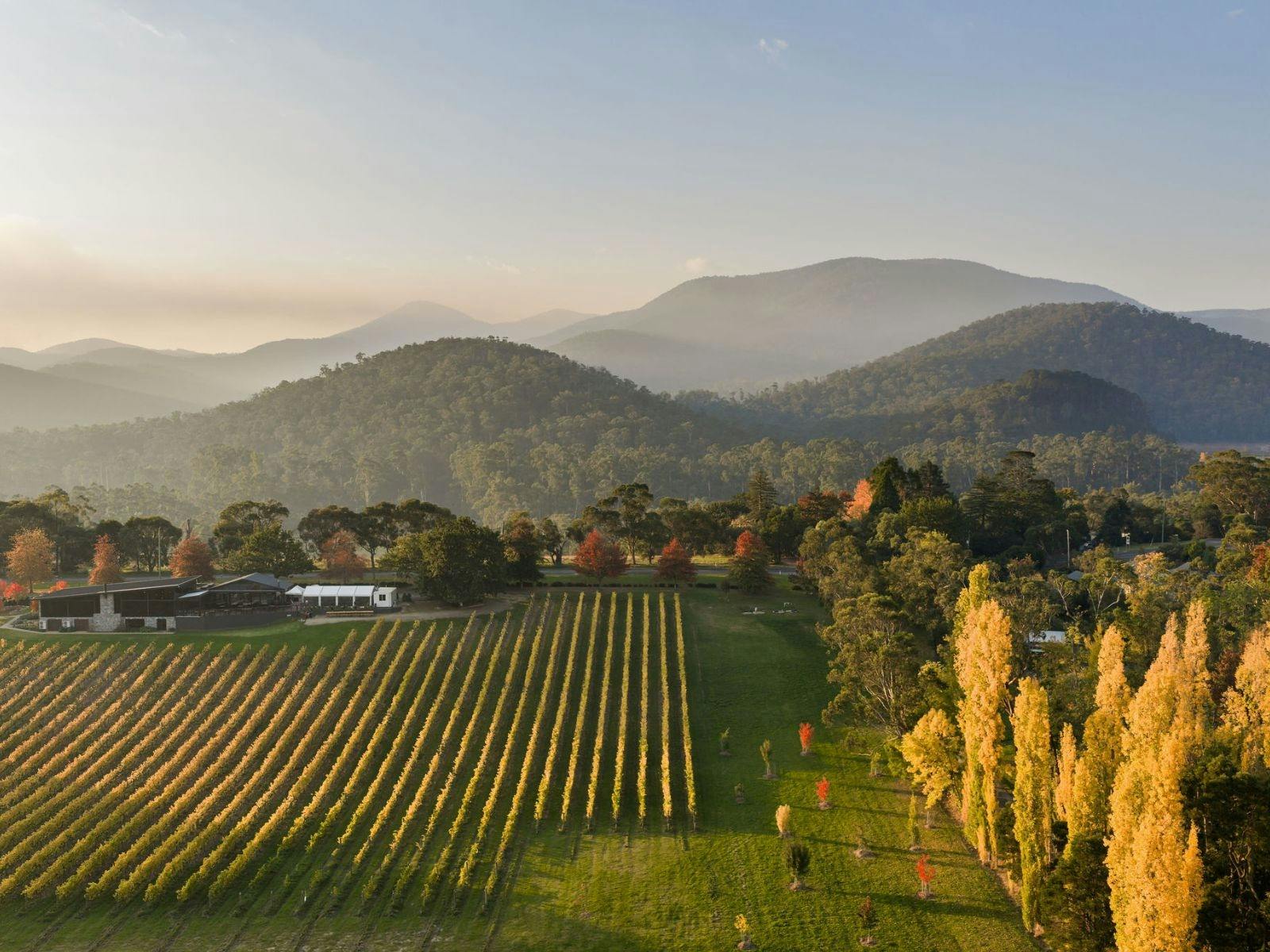 Boat O'Craigo Yarra Valley