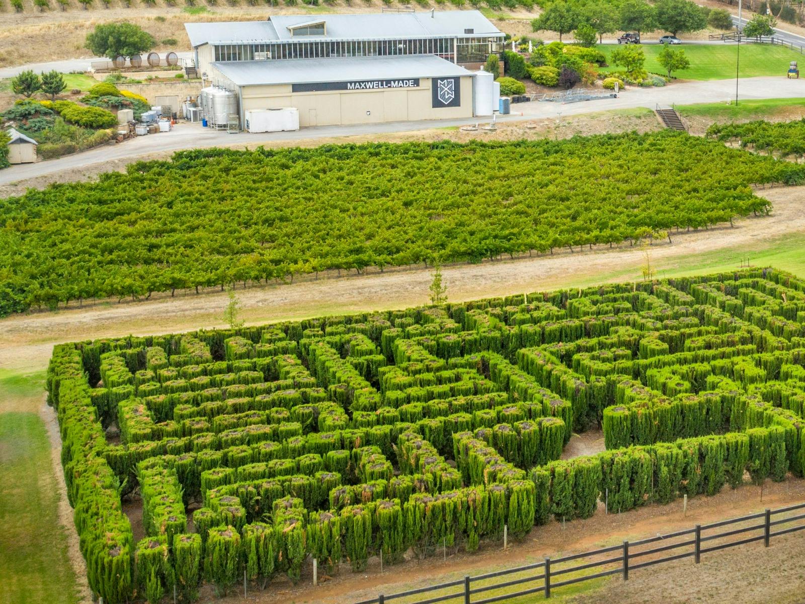 Maxwell Maze McLaren Vale