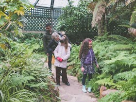 Bathurst Fernery